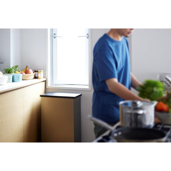 サンカ 冷やすゴミ箱 CLEAN BOX（クリーンボックス） シルバー NCB-1-B20-S ［20L］ |  | 07