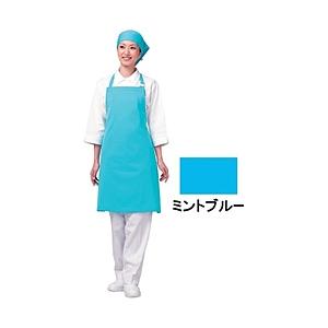 ワコウ アイメッシュエプロン 首掛けタイプ E5200 11ミントブルー ＜SEPB802＞ 【852】 | 