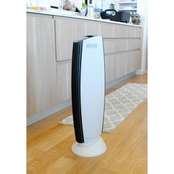 IONICBREEZE 空気清浄機 GRANDE IonicBreeze(イオニックブリーズ) ホワイトグレー 59110 ［適用畳数：40畳 /PM2.5対応］ |  | 01