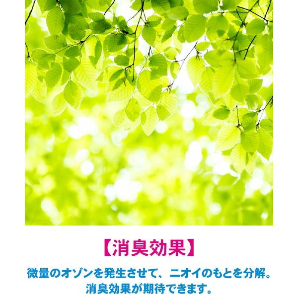 IONICBREEZE 空気清浄機 GRANDE IonicBreeze(イオニックブリーズ) ホワイトグレー 59110 ［適用畳数：40畳 /PM2.5対応］ |  | 06