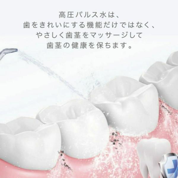 アントレックス 口腔洗浄器 スキ間シャワー JET |  | 15