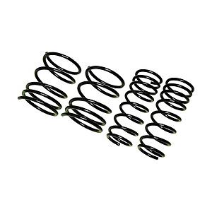 RACINGGEAR SN035A ダウンスプリング LOWFORM REVOLUTION デイズ B21W | 