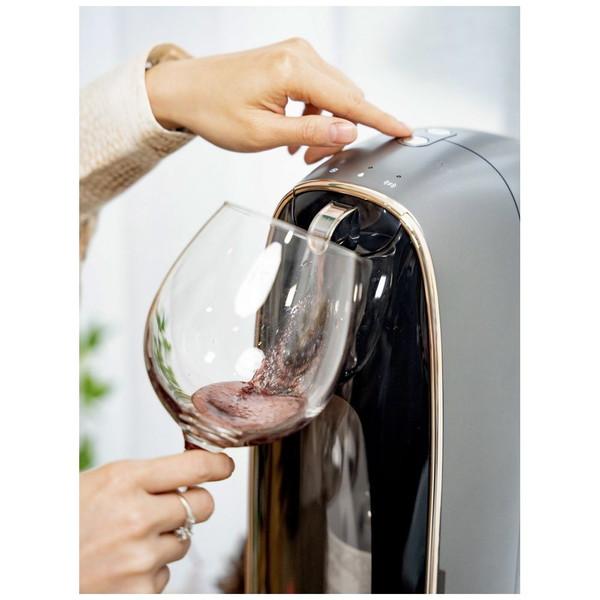 VINOFONTAINEPTELTD SANTUSワインサーブマシーン |  | 05