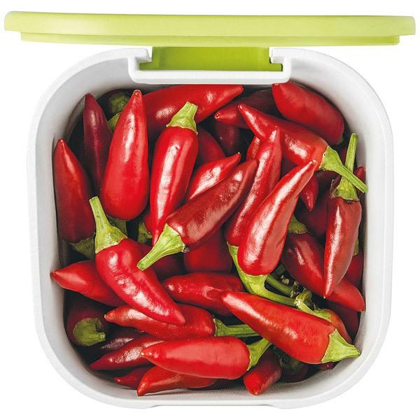 グッチーニ ソルト/スパイスジャー MY KITCHEN [振込不可] | グッチーニ | 08