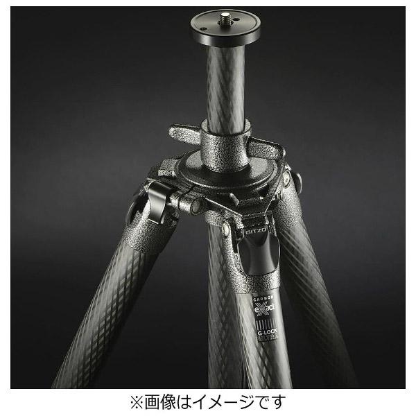 GITZO(ジッツォ) システマティック カーボンセンターポール（2/3/4型用）　GS3513S |  | 01