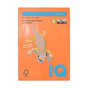 伊東屋 BT733 オレンジ 120ｇ/m2 A4(250) 0.159mm | 