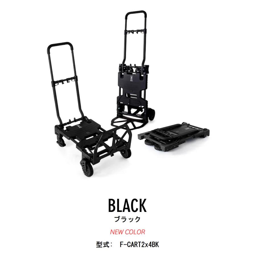 ○ブラックタイプ○花岡車両 ビームスの百名品 F-CART 2x4