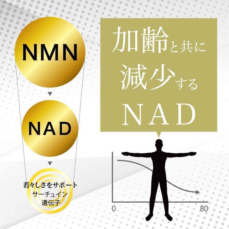 出群 ｄｂｈ ｎｍｎ サプリメント 3750 日本製 Nmn高純度99 1カプセルに125mg １ボトル30カプセル Automac Net