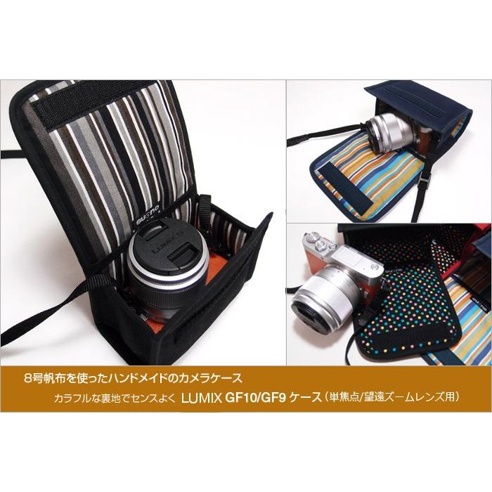 LUMIX DC-GF10 ミラーレスカメラ 本革カメラケース付き LUMIX DC-GF10 ミラーレスカメラ 本革カメラケース付き カメラ