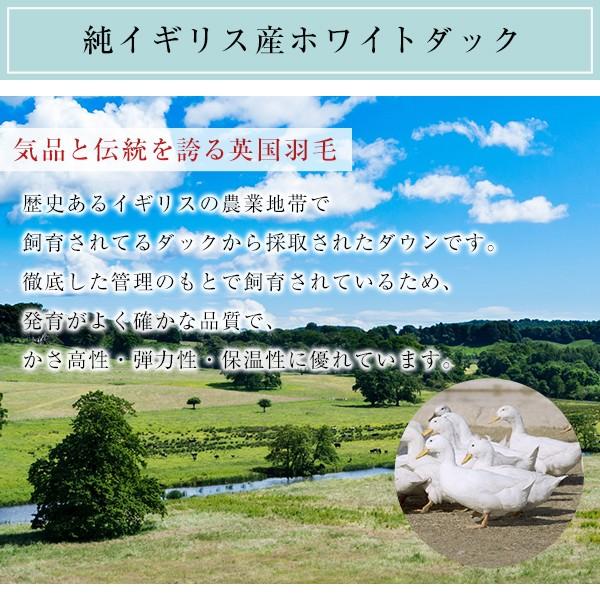 西川品質 羽毛布団シェアトップクラス シングルロング 日本製 寝具 掛け布団｜Leafa-リーファ-｜y-syo-ei｜05