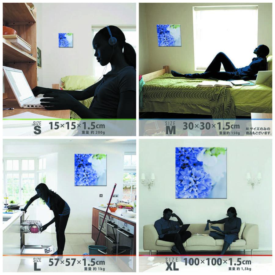 絶品 ウォールアート 57cm 57cm Lサイズ 写真 花 アート 雑貨 アートデリ 竹内陽子のウォールデコ 壁掛け リビング 寝室 玄関 モダン おしゃれ ファブリックパネル Pathwaysfl Org