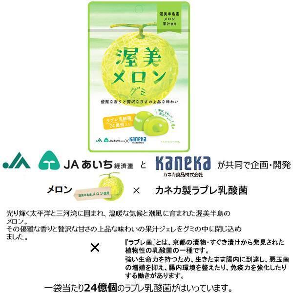 グミ 乳酸菌入り 渥美メロングミ カネカ食品 美味しい スッキリ 贅沢な