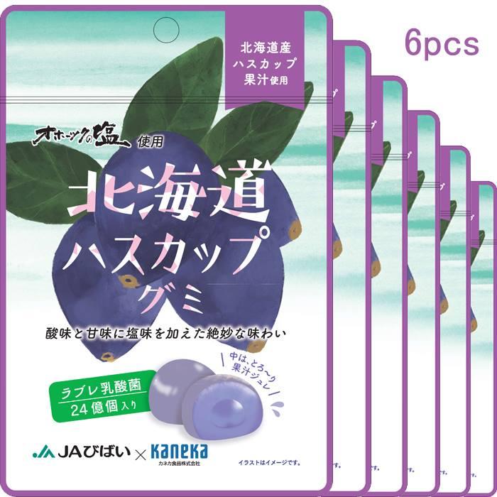 6袋セット販売 グミ 乳酸菌入り 北海道 ハスカップ オホーツクの塩使用