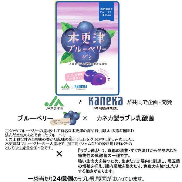 ハクページブルーベリーミント1個　グレープ1個 グミ 乳酸菌入り 木更津ブルーベリーグミ カネカ食品 美味しい