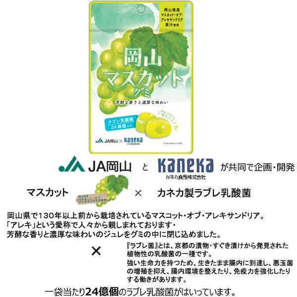グミ 乳酸菌入り 岡山マスカットグミ カネカ食品 芳醇な香り 濃厚な
