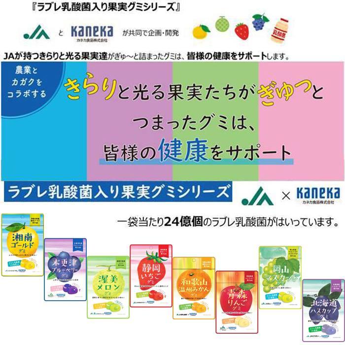 グミ 乳酸菌入り 岡山マスカットグミ カネカ食品 芳醇な香り 濃厚な