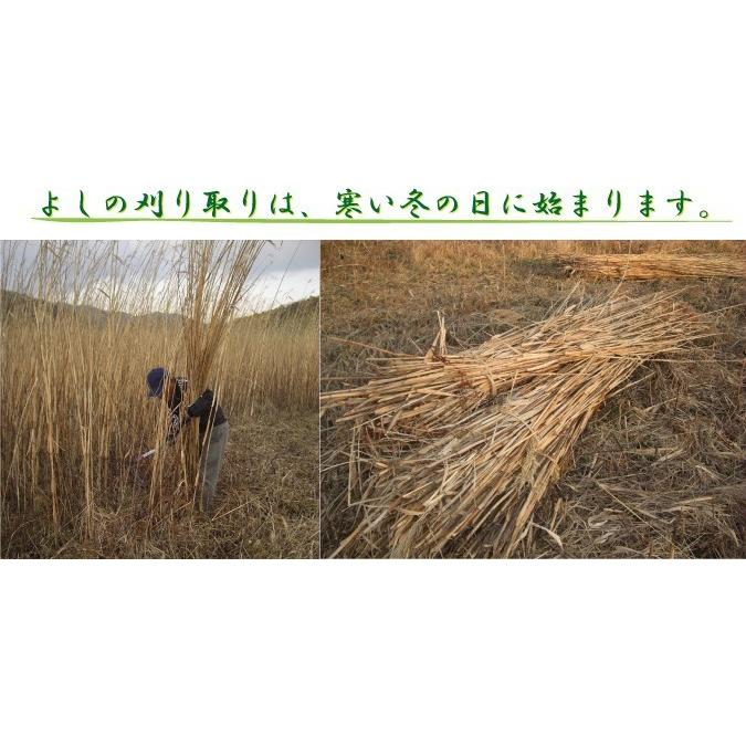 送料無料 よしず 6尺 幅180cm 高さ180cm 国産 日本製 滋賀県 びわ湖産 琵琶湖産 職人手作り 和風 高級 すだれ 葦簀 オーニング スクリーン 簾 Yosizu 6shaku 竹専門店 竹伊 通販 Yahoo ショッピング