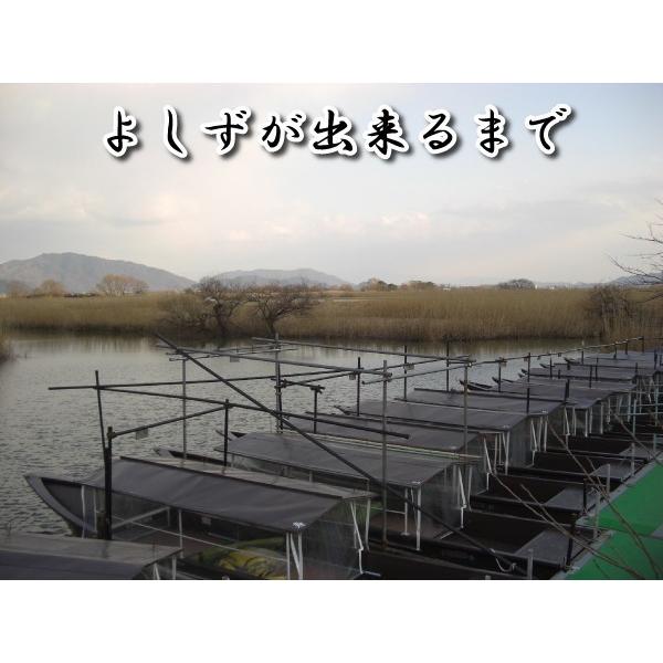 送料無料 よしず 9尺 幅180cm 高さ270cm 国産 日本製 滋賀県 びわ湖産