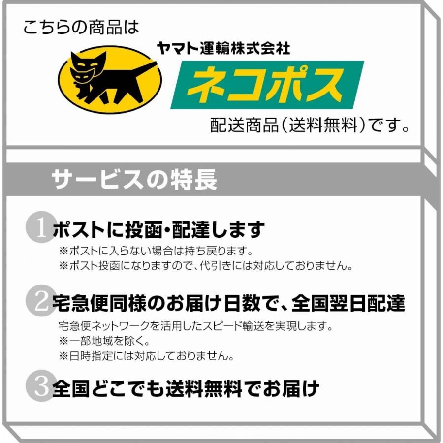 日本製 円定規 製図用テンプレート定規 152ｘ315ｘ1.0mm テーパーカット Φ1-Φ50 003-001 ネコポス送料無料 製図/画材/定規/テンプレート/製図用品/建築士｜y-trytec｜02