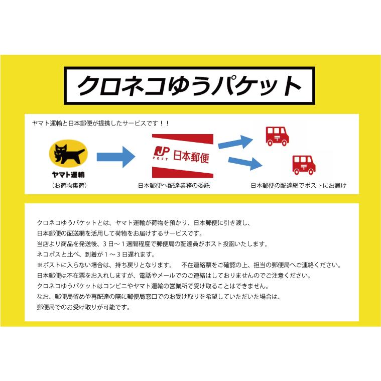 テンプレート定規 楕円定規 製図用 152x315x1mm 6〜36 2段カット