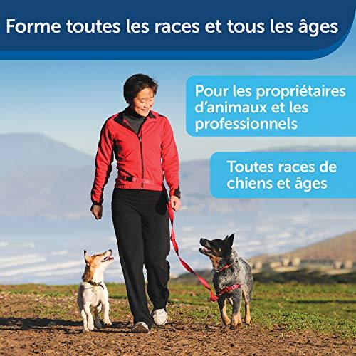 【新品 送料込み】 Treat & Train Remote Reward Dog Trainer 【KU8420598303】(30694円)