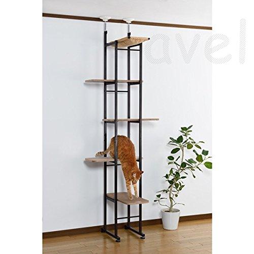 ボンビアルコン (Bonbi) キャットベース