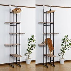 ボンビアルコン (Bonbi) キャットベース 