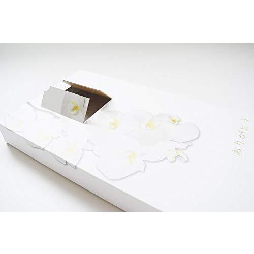 お買得 やすらぎ ダンボール 大 胡蝶蘭 防水シート付 お別れ窓付 中型犬 大サイズ ペット棺 懐中電灯 ハンディライト Www Oroagri Eu