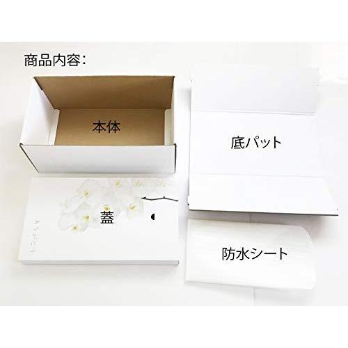 お買得 やすらぎ ダンボール 大 胡蝶蘭 防水シート付 お別れ窓付 中型犬 大サイズ ペット棺 懐中電灯 ハンディライト Www Oroagri Eu