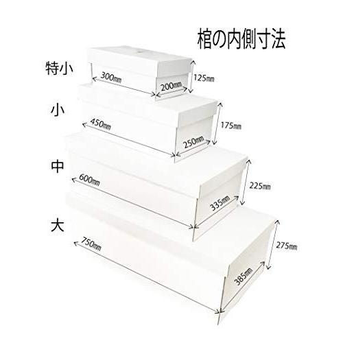 お買得 やすらぎ ダンボール 大 胡蝶蘭 防水シート付 お別れ窓付 中型犬 大サイズ ペット棺 懐中電灯 ハンディライト Www Oroagri Eu