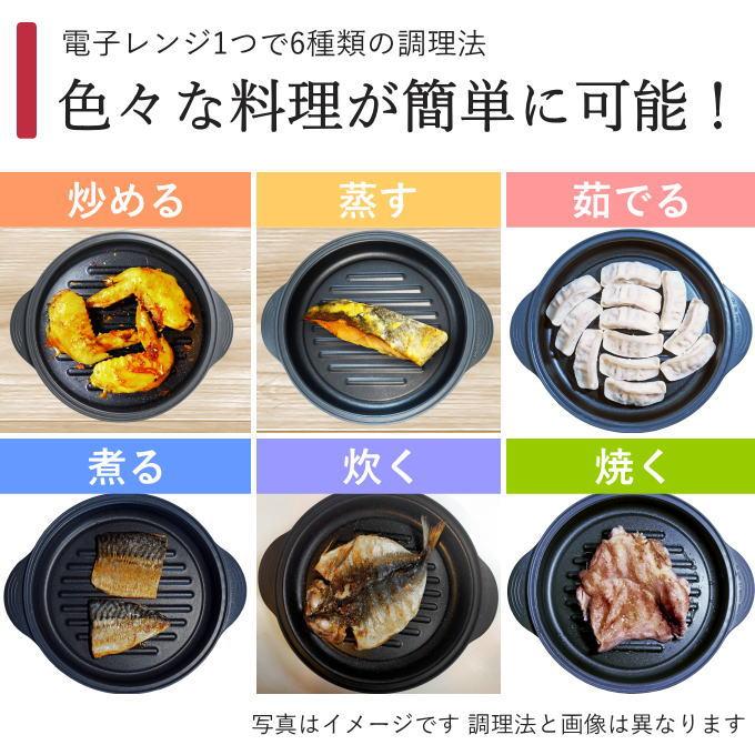 電子レンジ 調理器具 電子レンジ用調理器 レンジ 魚 が 焼ける 電子レンジ 調理器具 電子レンジ用調理器 レンジ 魚 が 焼ける