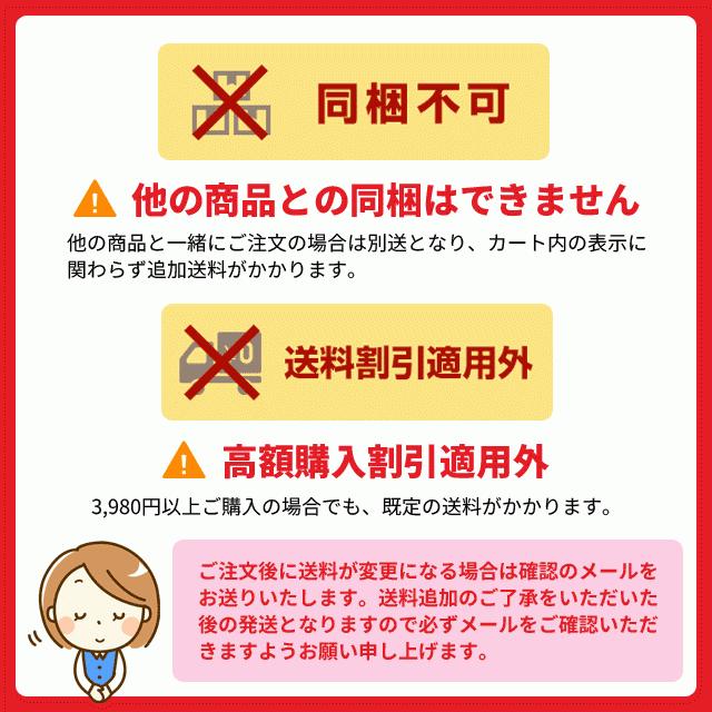カセットガス式バーベキューグリル クイックリー2 CBS-333 BBQ カセットガス式バーベキューグリル クイックリー2 CBS-333 BBQ