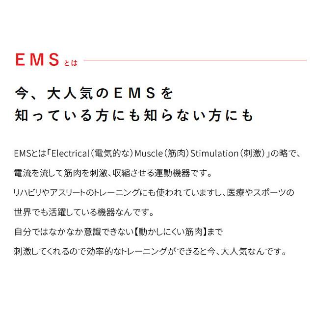 VONMIE（ボミー） VONMIE EMS vomie ems スタイルマット VON001 脚