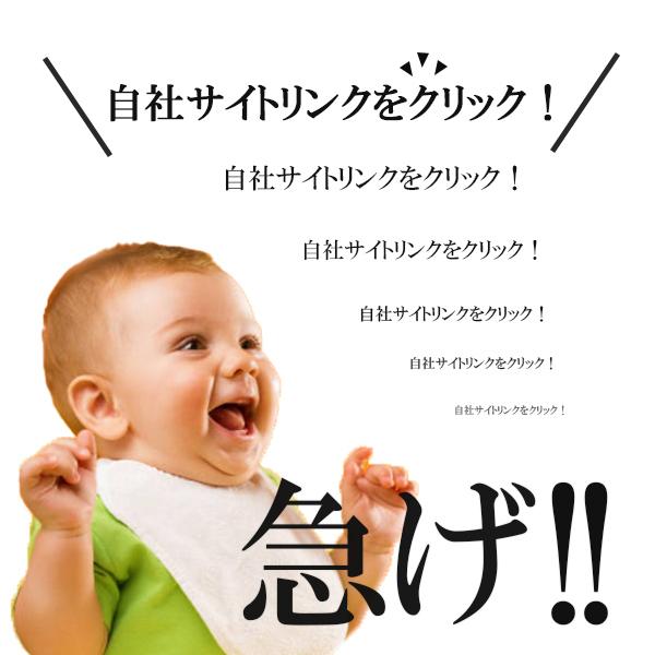 ステンレスポスト おしゃれ 郵便受け 埋込・スタンド設置 大型タイプ