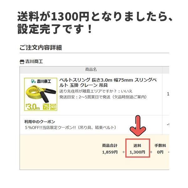 FREAK ラッシングベルト エンドレス 使用荷重1000kg 幅35mm長さ