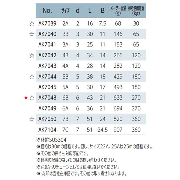 チェーン　30ｍ　AK7048　浅野　6B