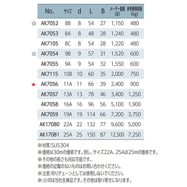 チェーン　30ｍ　AK7056　浅野　11A