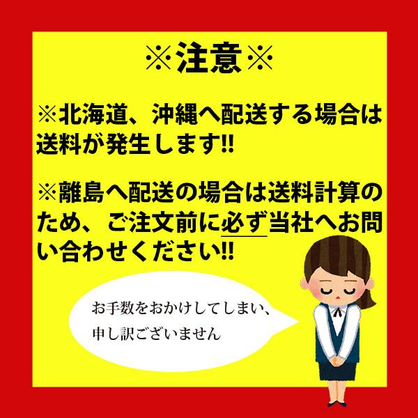 オールアンカー M12 C-1280 30本入 : 吉川商工 - 通販 - Yahoo