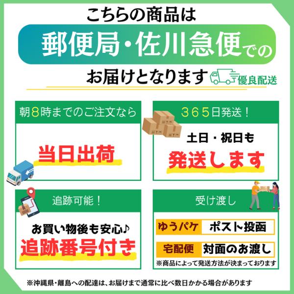 アメリカンフットボール クッション ぬいぐるみ 13個セット アメリカンフットボール クッション ぬいぐるみ 13個セット