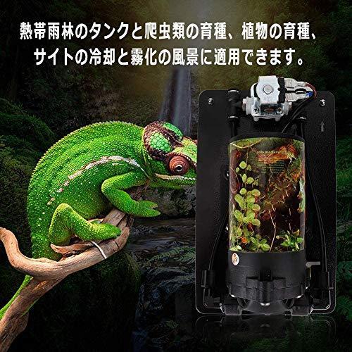 爬虫類ミストポンプ ミニ 低ノイズ 低消費電力 安定性能 長時間使用 爬虫類 両生類 熱帯雨林ビバリウムミストシステム 水族館加湿器ポンプキット アク S 2619 From Lake Shop 通販 Yahoo ショッピング