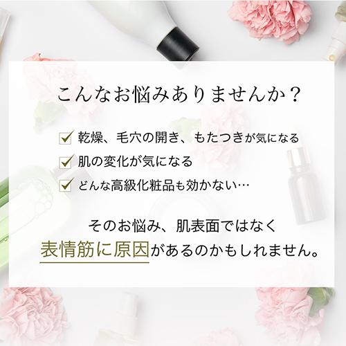 YA‐MAN 美顔器 / EMS イオン導入 ハリ 弾力 電子ハリ美顔器 YA‐MAN 美顔器 / EMS イオン導入 ハリ 弾力 電子ハリ美顔器