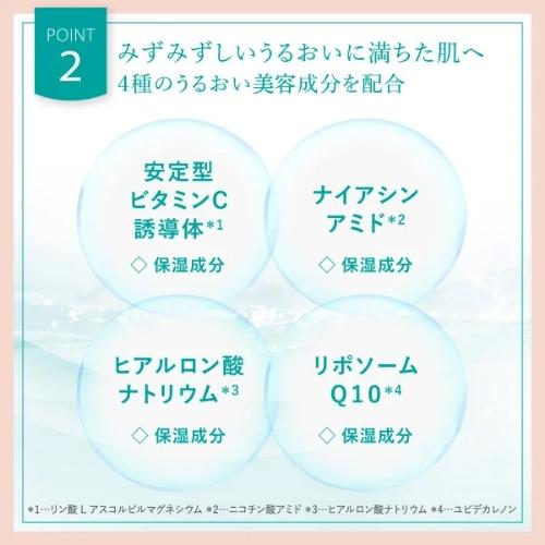 WellSpa 10 美容器具 セラム・ジェル付き YA‐MAN ジェル状美容液 / 美顔器 あわせ使い /フローレスセラム