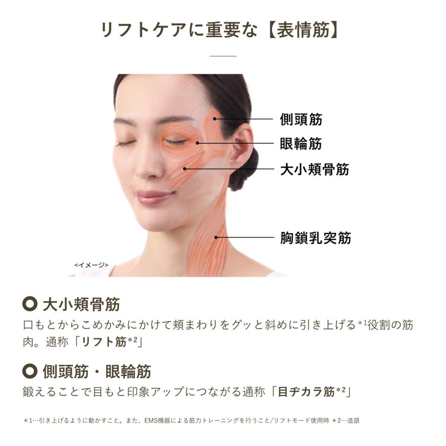 YA‐MAN（ヤーマン） ローラー ポインター WAVY ニードルリフト