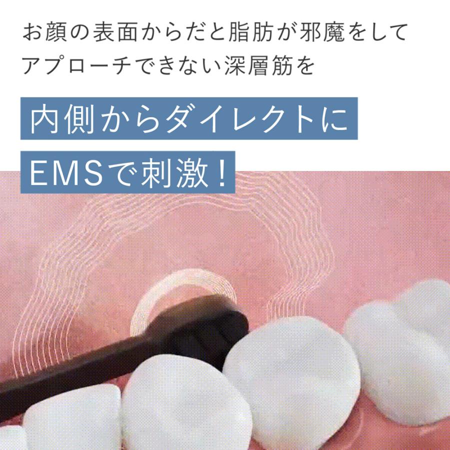YA‐MAN（ヤーマン） デンタルケア オーラルリフト 公式 電動歯ブラシ