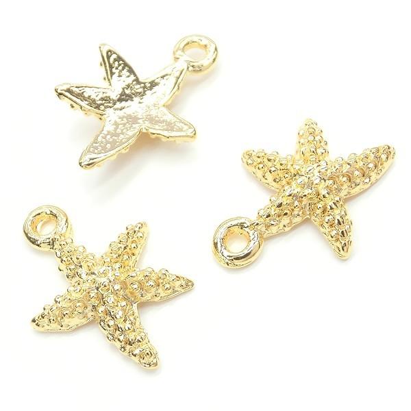 ヒトデチャーム 2個入 Sea Star ひとで Fish スターフィッシュ 海の星