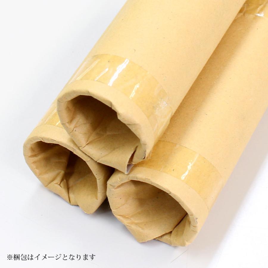 アルマックス（ALMAX） ACT-030 アルミ単管パイプ 48.6パイ×30cm 48.6Φ