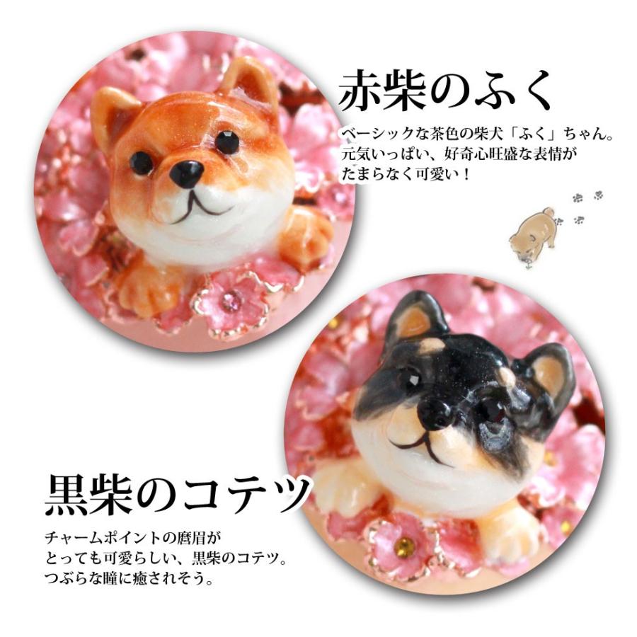 東京銀座PICALS 【正規品】 ジェリーボックス 柴犬のふく
