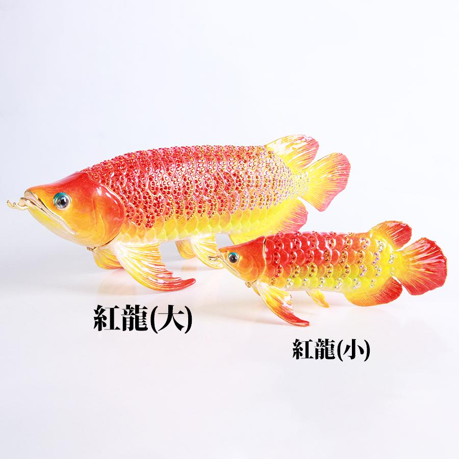 東京銀座PICALS 【正規品】 アロワナ 紅龍 Lサイズ アジアアロワナ