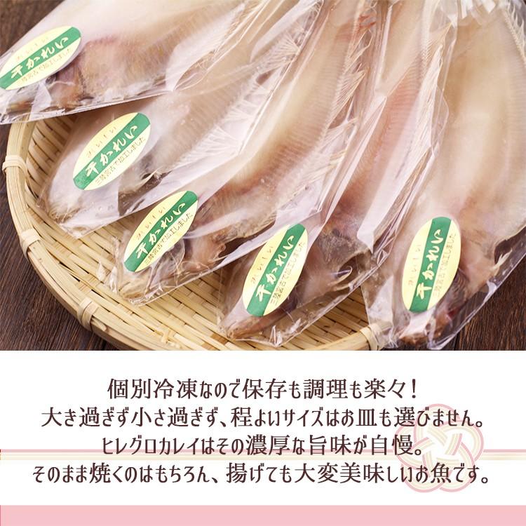 かれい 干し ヤナギカレイ ヒレグロカレイ 干物 北海道産 5枚入 おつまみ 肴 個別袋入 Sasa Karei 八代 ヤフー店 通販 Yahoo ショッピング