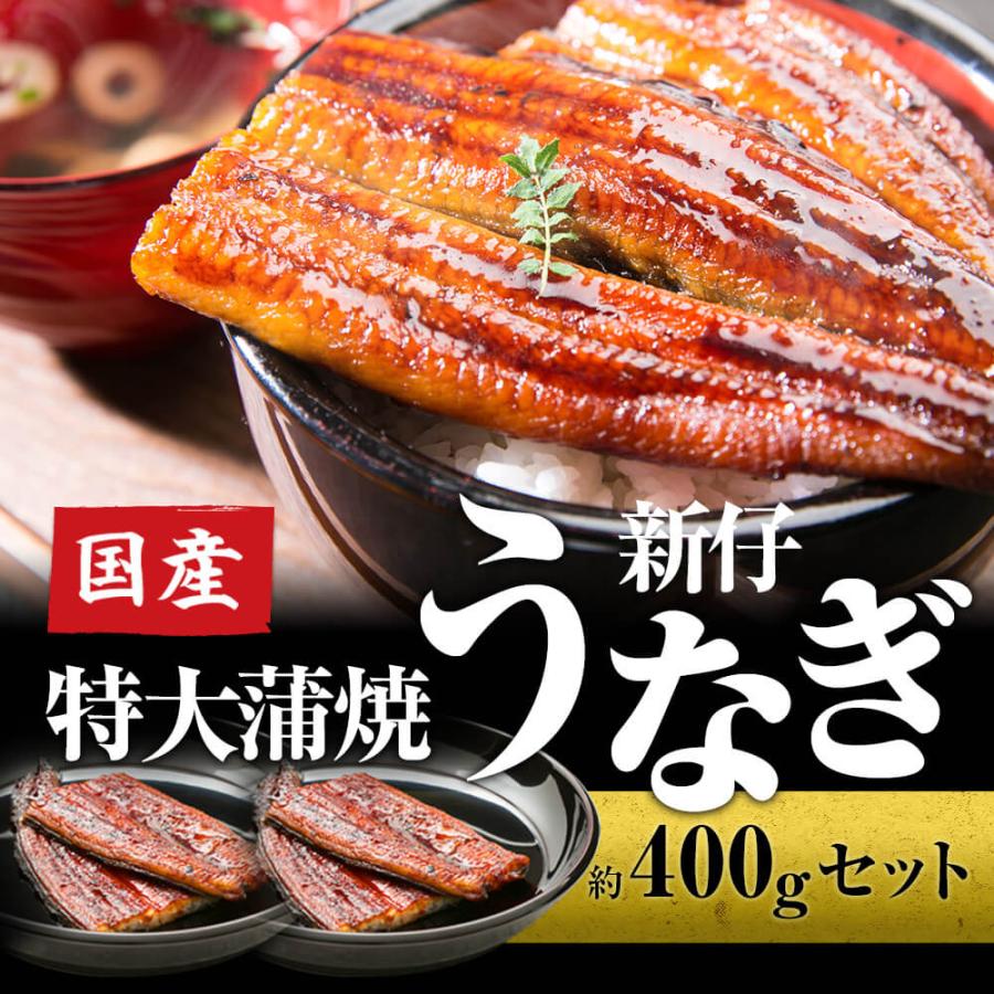 国産 新仔 うなぎ 特大 1尾200g 蒲焼き 約400g 2〜4人前 セット